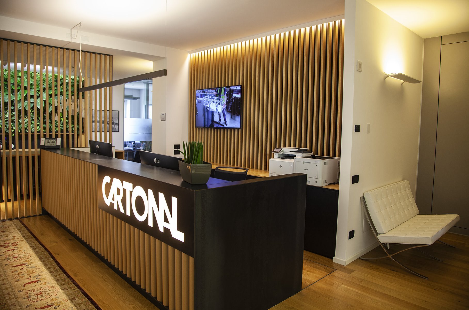 cartonal_about_zoom_gallery_1(0)