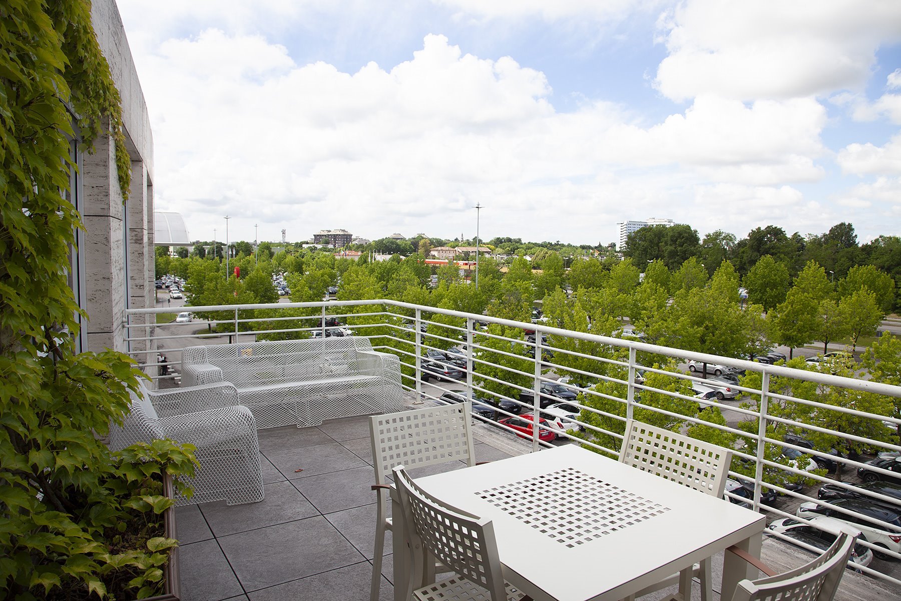 cartonal_about_zoom_gallery_10