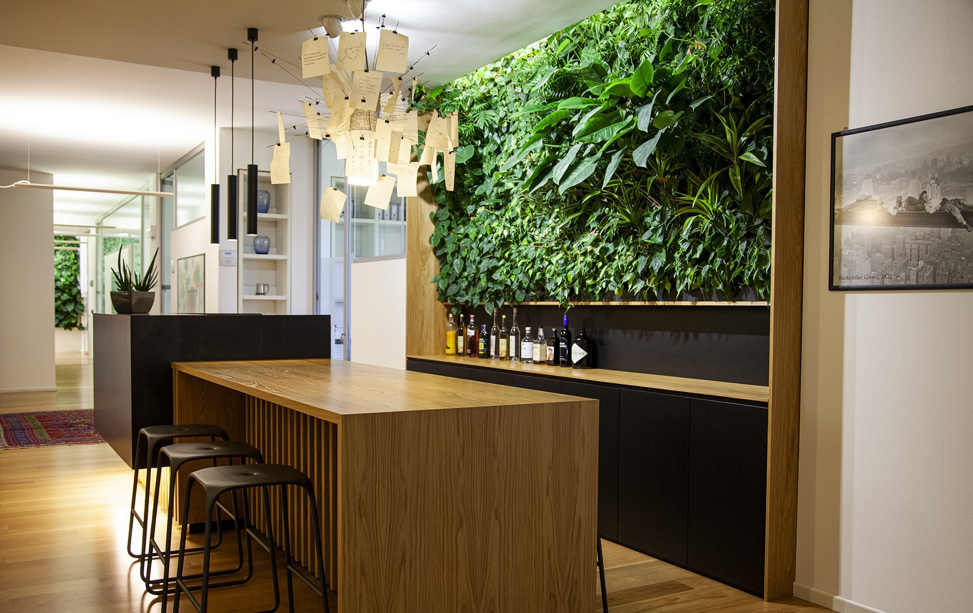 cartonal_about_zoom_gallery_2