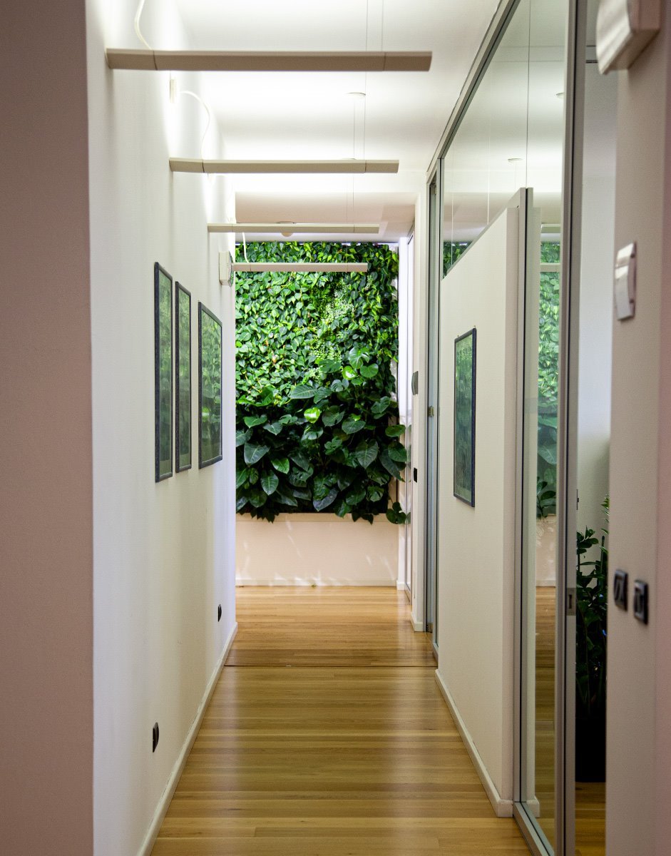 cartonal_about_zoom_gallery_4