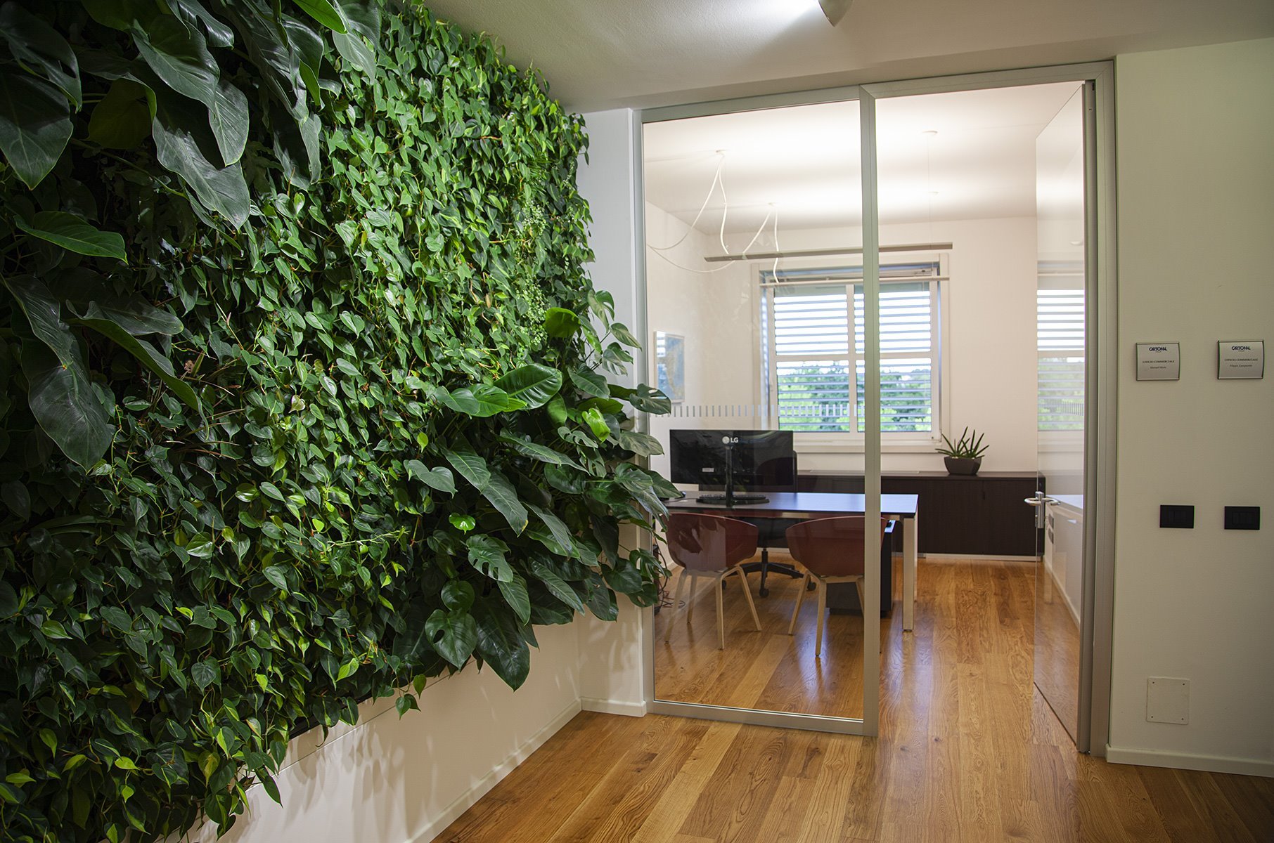 cartonal_about_zoom_gallery_5(0)