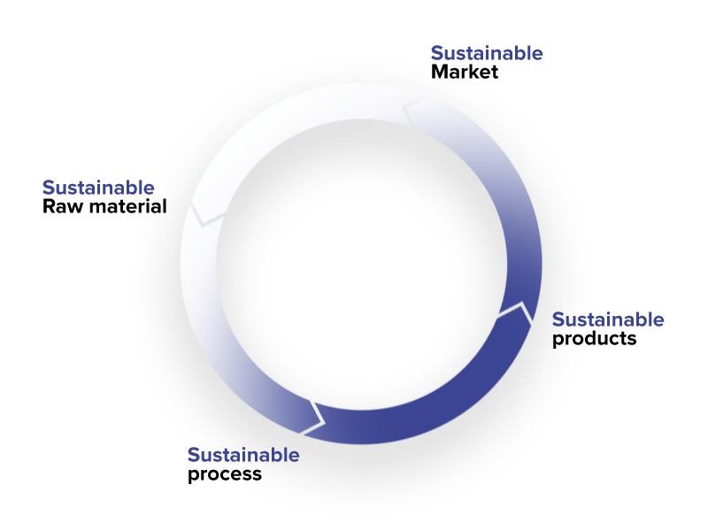 cartonal_graphic-development